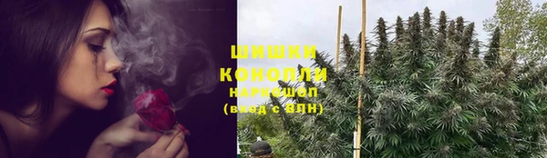 эйфоретик Каменногорск