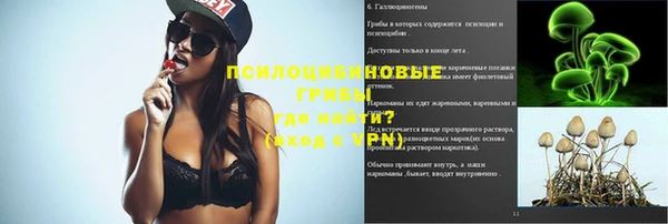 шишки Касимов