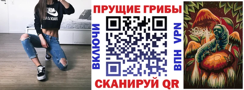 магазин продажи наркотиков  Клинцы  Галлюциногенные грибы MAGIC MUSHROOMS 
