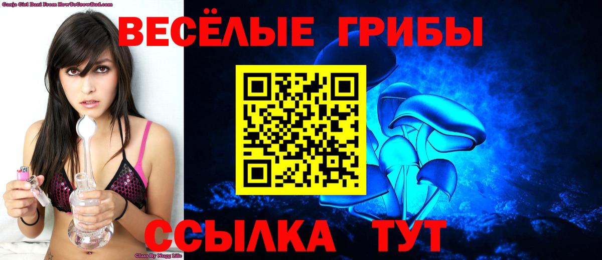 Галлюциногенные грибы Cubensis  Вход с VPN  Клинцы 